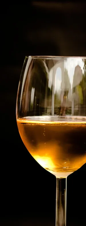 121 Magners_cider longneck